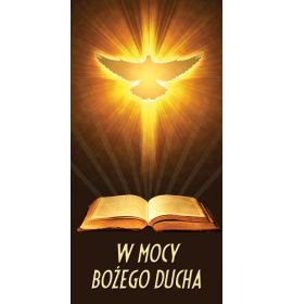 W mocy Bożego Ducha - 01 - Baner religijny - 100x200 cm